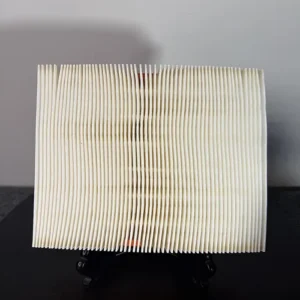 Fran Air Filter 3-min